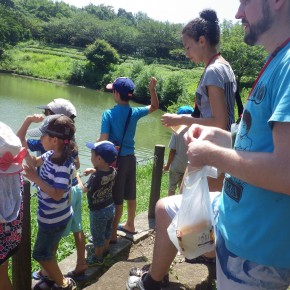 Feeding the ducks